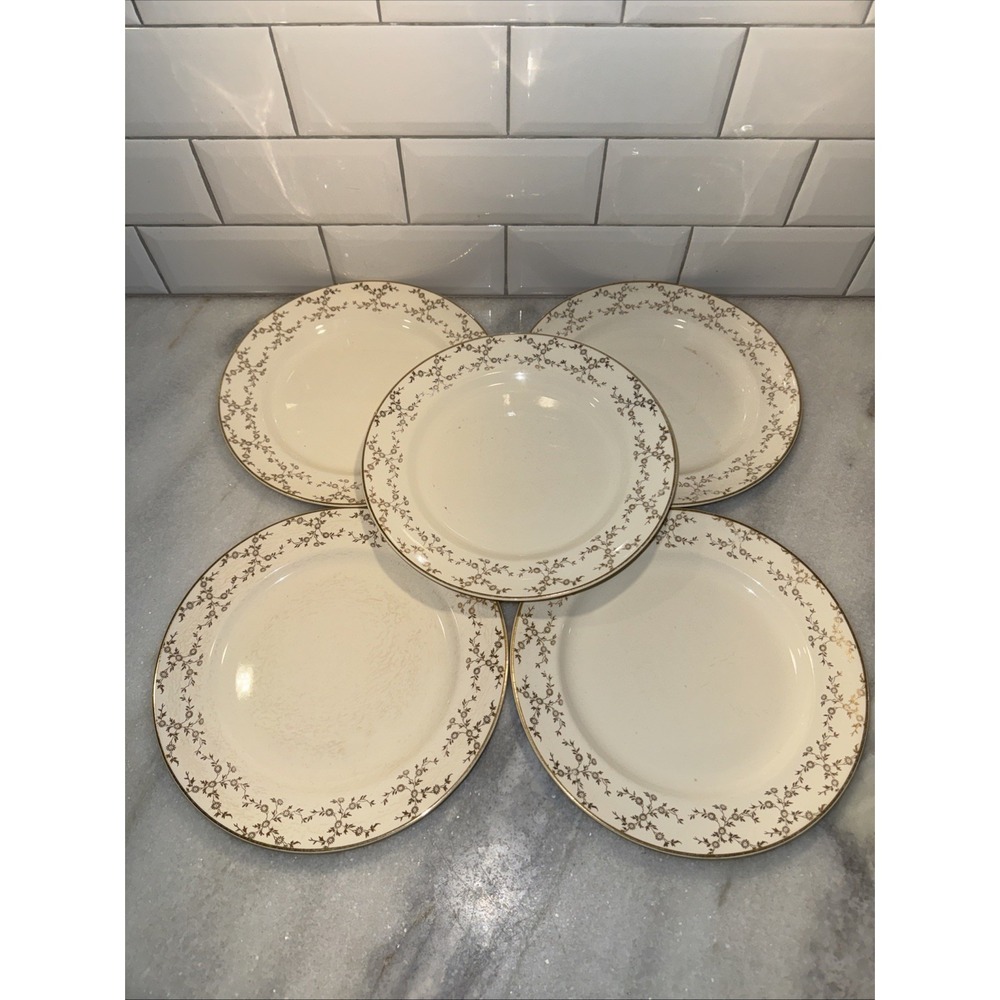Camwood Ivory Universal‎ Cambridge Floral Daisies 22 karat Dinner Plate Set Of 5